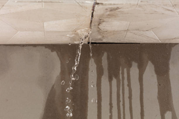Professional Structural Drying technician working in Pittsville, WI